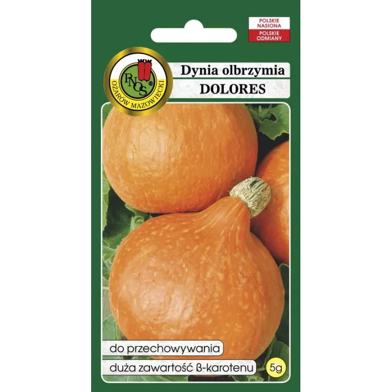 Seeds — Apte Dynia Olbrzymia Dolores (giant pumpkin) seeds, packet 5 g