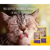 Josera Culinesse cats dry food 2 kg Adult Poultry, Salmon