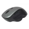 Optical mouse Gembird MUSW-6B-02-BG USB