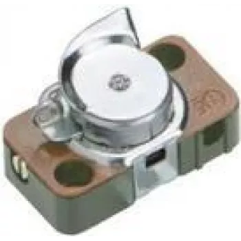 Bachmann 924.154 Pull chain switch 1P Black - Braun Electrical Switch (924.154)