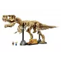 LEGO Dinosaur Skeletons Tyrannosaurus 76968 construction set – buildable T. rex skeleton model