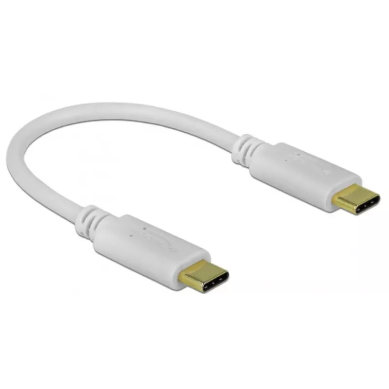 Delock - USB-C / power cable - 24 pin USB-C (M) to 24 pin USB-C (M) - 5 A - 15cm - USB-Power Supply (100 W), Supports Power Delivery 2,0 - White (85357)