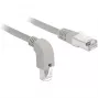 Networking Cable DeLOCK 85875 2m Cat6a S/FTP Grey