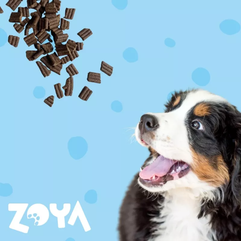 Dry dog food ZOYA ColdPRO Duck 9 kg — adult maintenance, single-protein, 26% protein, 10% fat