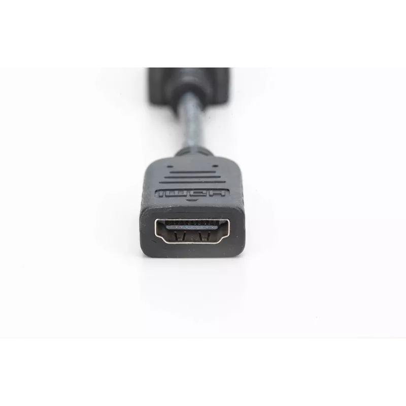 Digitus DisplayPort Adapter / Converter