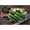 Polan F1 Cucumber PNOS Seeds on Tape, 6m Tape