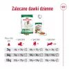 Dry dog food Royal Canin Adult Mini S 8 kg — complete nutrition for small adult dogs