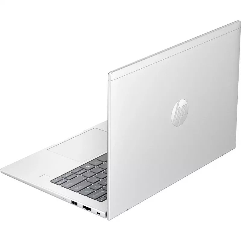Probook 4 G1a (C07P5ES), Notebook Silver, AMD Ryzen 5 230, AMD Radeon 760M, 24 GB DDR5, 1 TB (1 TB SSD), without Operating System
