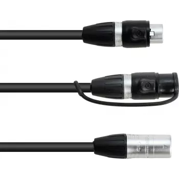 Adapter Cable EUROLITE 30227869 IP XLR 3‑pin Male to 2× IP XLR 3‑pin Female