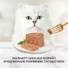 Purina Nestle Gourmet Gold - salmon and chicken - wet cat food -85 g