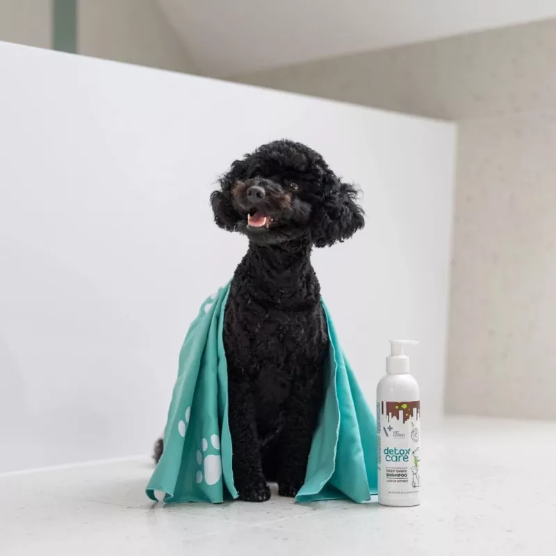 VETEXPERT Detox Care Deep Dark shampoo for dogs and cats, 250 ml
