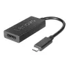 Lenovo 4X90Q93303 video cable adapter 0.2 m USB Type-C DisplayPort Black