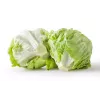 Crisp Ice Lettuce Summer Toraf Vegetable Seeds, 1g Package