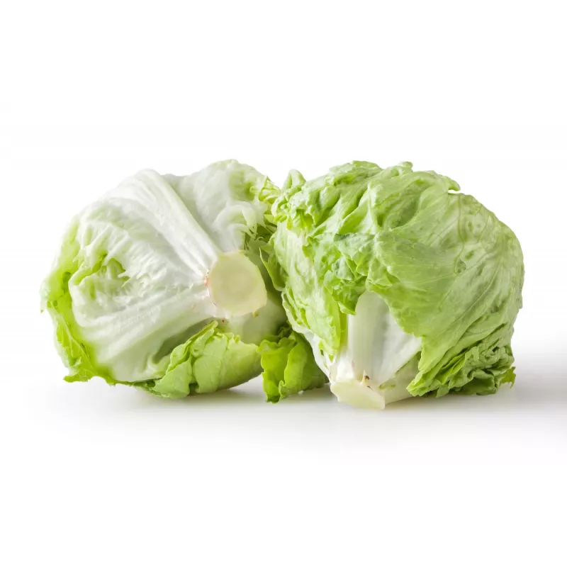 Crisp Ice Lettuce Summer Toraf Vegetable Seeds, 1g Package