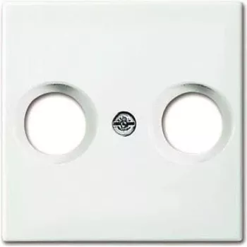 Wall plate / switch cover Busch-Jaeger 1724-0-4334 White for Busch-balance SI
