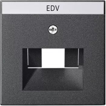 GIRA 028428 Wall Plate/Switch Cover Anthracite (028428)