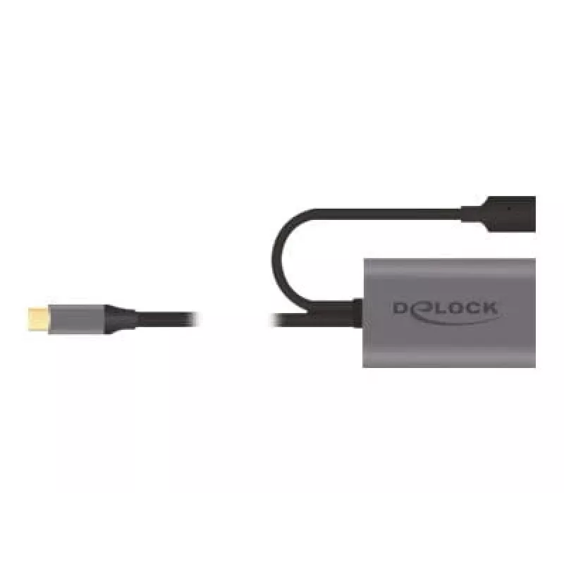 Delock USB-20225 Power Adapter Grey