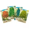 Mischwald, Card Game