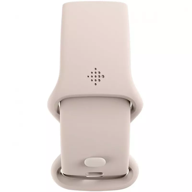 Fitbit GA05185-EU Product Silver