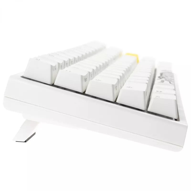 Mechanical Gaming Keyboard Ducky One 2 Pro Mini RGB LED with Cherry MX Blue switches, 60% layout