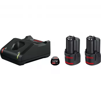 Bosch 1 600 A01 9R8 cordless tool battery / charger Battery & charger set