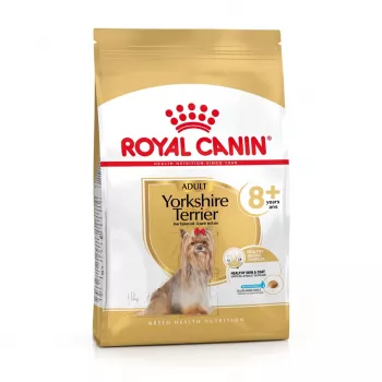 Dry dog food Royal Canin Yorkshire Terrier 8+ 3 kg — poultry, for senior Yorkshire Terriers, protein 29%, fat 18%