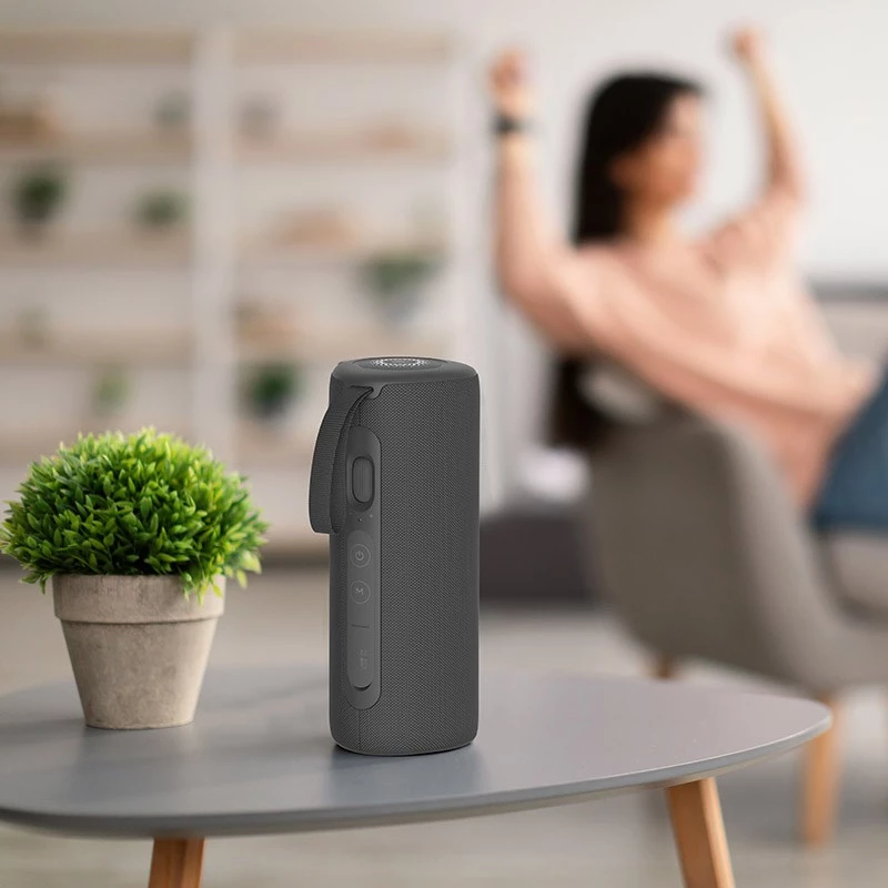 Portable Speaker Kodak PWS-2246, Black