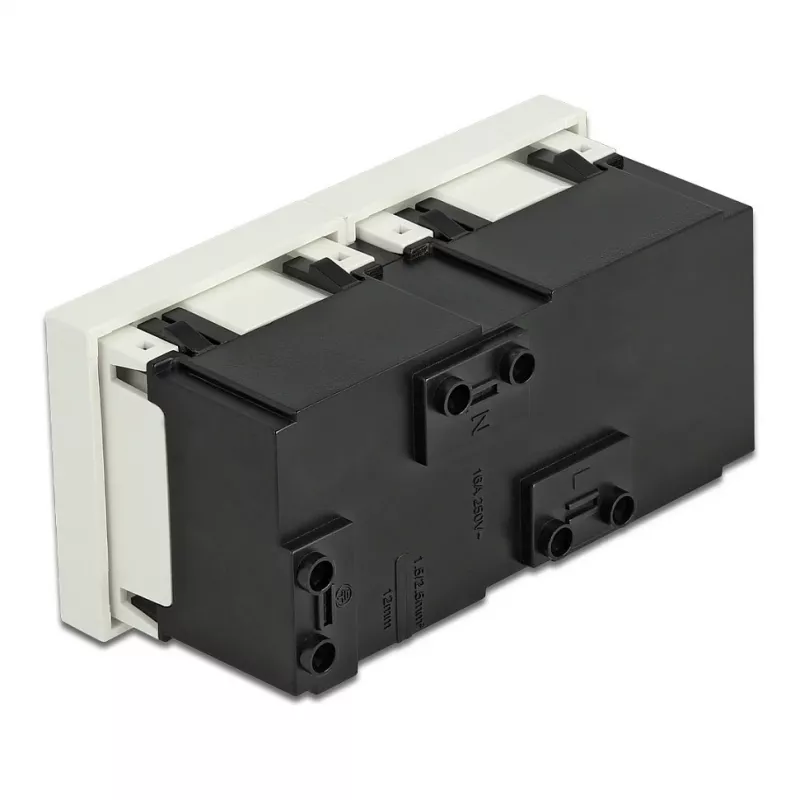Wall Socket Outlet DELOCK 81423 — CEE 7/3, 16 A, 250 V, White, ABS/PC, 45×90 mm