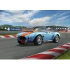 Plastic model car 65 Shelby Cobra 427 1/24