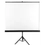 Avtek Tripod Standart 175 projection screen 1:1