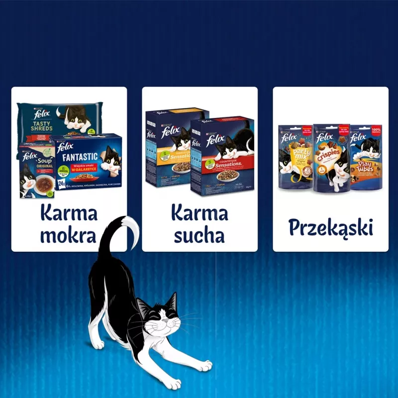 Wet cat food Purina Nestlé FELIX Fantastic fish flavors — tuna, salmon, cod, flatfish, 12×85 g sachets