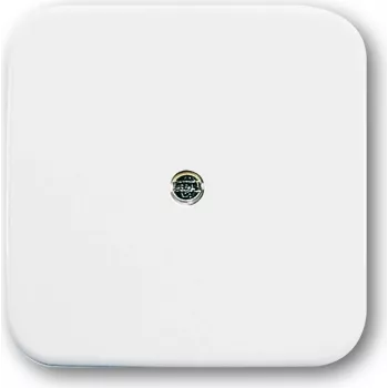 Busch Jaeger 1724-0-0921 Wall Plate/Switch Cover White (1724-0-0921)