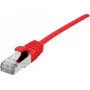 Networking Cable Dexlan 858731 2 m Cat6a S/FTP RJ-45