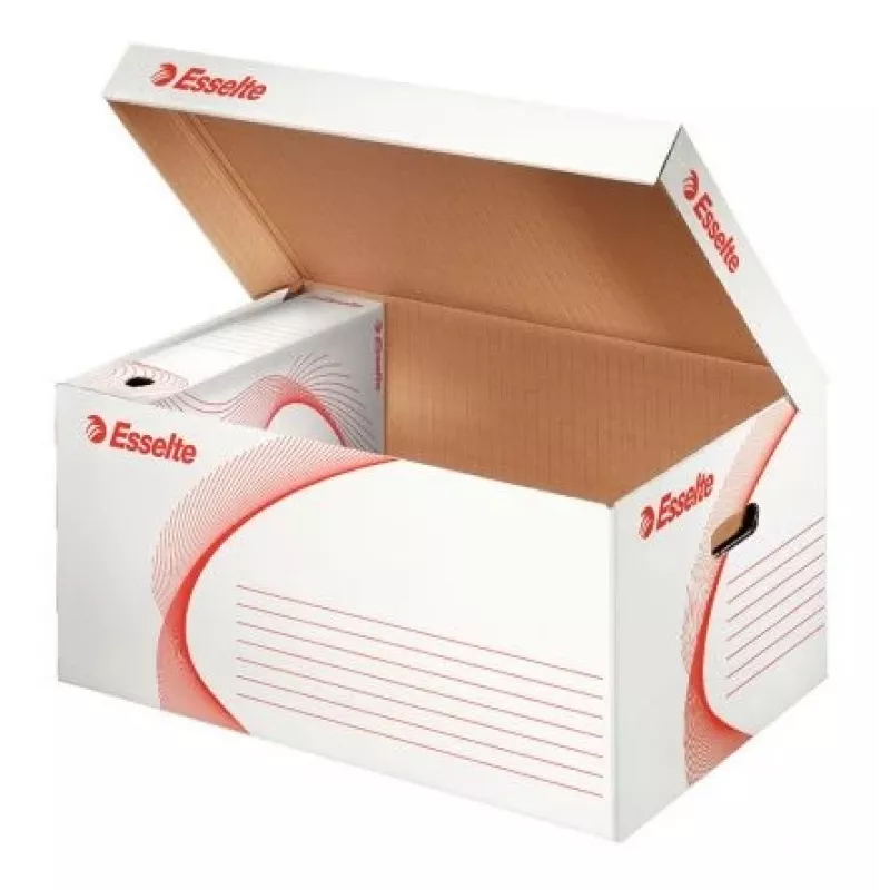 Archive box container Esselte 365mm x 550mm x 255mm