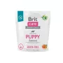 Dry dog food Brit Puppy Salmon 1 kg — grain-free puppy formula, 30% protein, 18% fat
