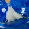 Science kit Liscianigiochi Crazy Science Slime in the dark 304-PL89239 — glow-in-the-dark slime experiment set