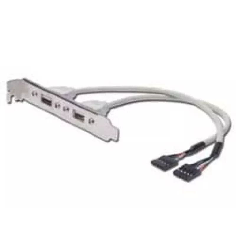 USB Slot Bracket Cable Digitus AK-300301-002-E