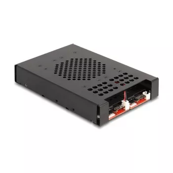 SSD enclosure DeLOCK 47117 3.5 inch Mobile Rack for 2 x M.2 NVMe SSD