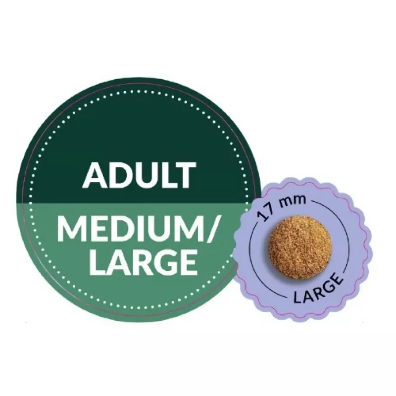ADDVENA Taste Sensations Adult Medium/Large Turkey - dry dog food - 2,5kg