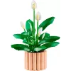 LEGO BOTANICALS 11504 Peace Lily