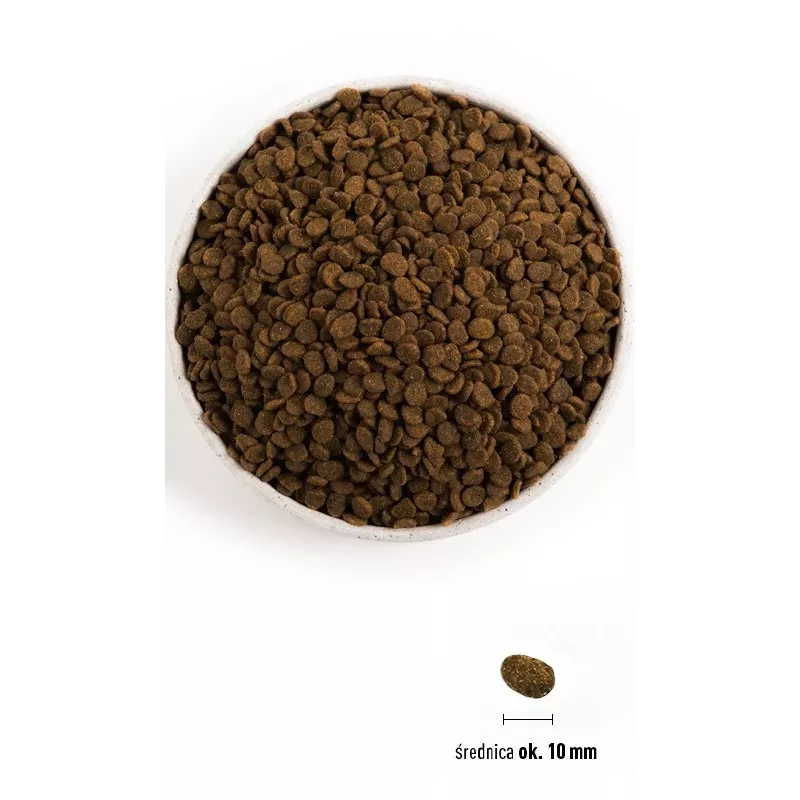 ORIJEN Guardian 8 - dry cat food - 1,8 kg