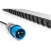 Digitus Basic IT PDU 1-phase 16A 24 x C13 3 x C19 3m cable