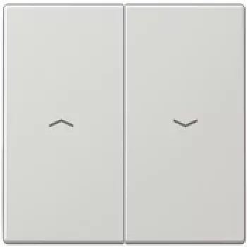 Jung LS 995 P LG (LS995PLG)