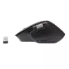 Wireless Mouse Tellur TLL491261 USB