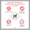 PUPIL Premium All Meat Gold Saddle of lamb - wet dog food - 800g