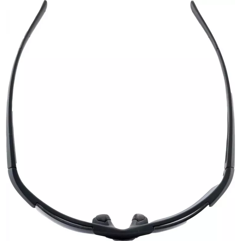 Sunglasses ALPINA DEFEY HR colour BLACK matte Glass black Cat. 3