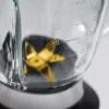 Caso | Blender | MX 1000 | Tabletop | 1300 W | Jar material Glass | Jar capacity 1.5 L | Ice crushing | Stainless steel