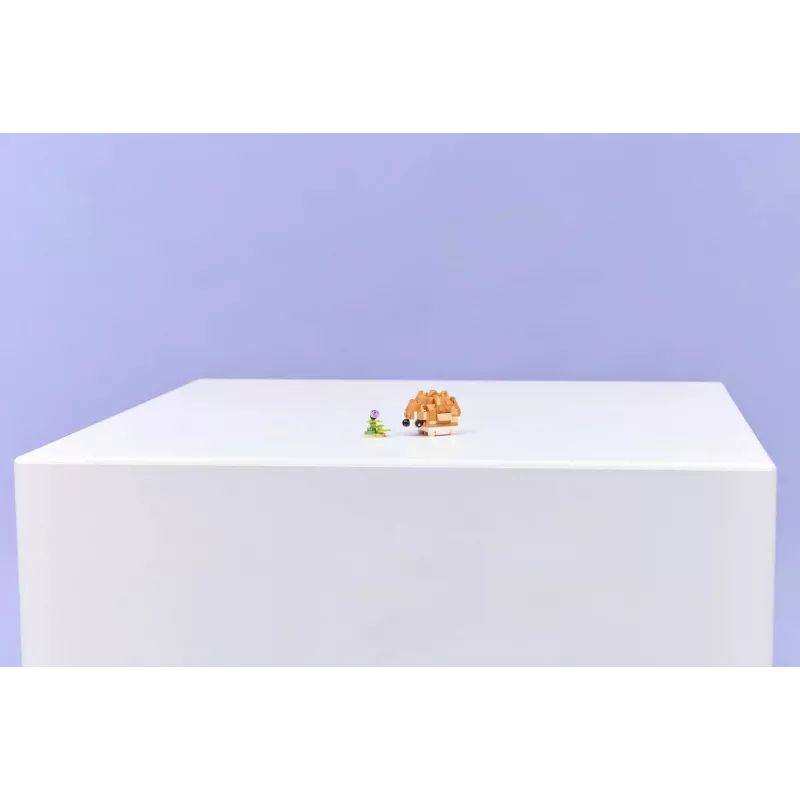 LEGO CREATOR 3 IN 1 31376 Cute Hamster with a Flower