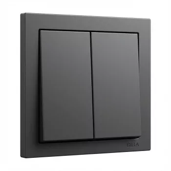 Switch rocker cover plate GIRA System 55 2-gang Wippe Anthracite (model 329528)