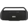 Portable Speaker Tellur Obia 50W Black